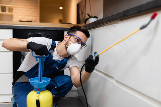 Best Exterminator Services  in Shenandoah, IA
