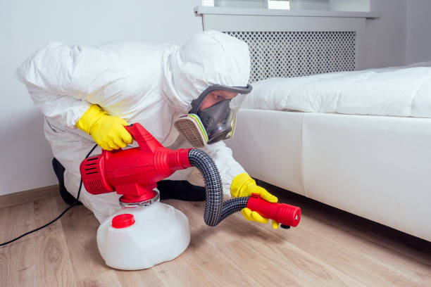 Best Emergency Pest Control  in Shenandoah, IA