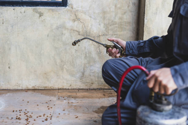 Best Exterminator Services  in Shenandoah, IA