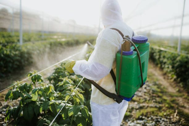 Shenandoah, IA Pest Control Company